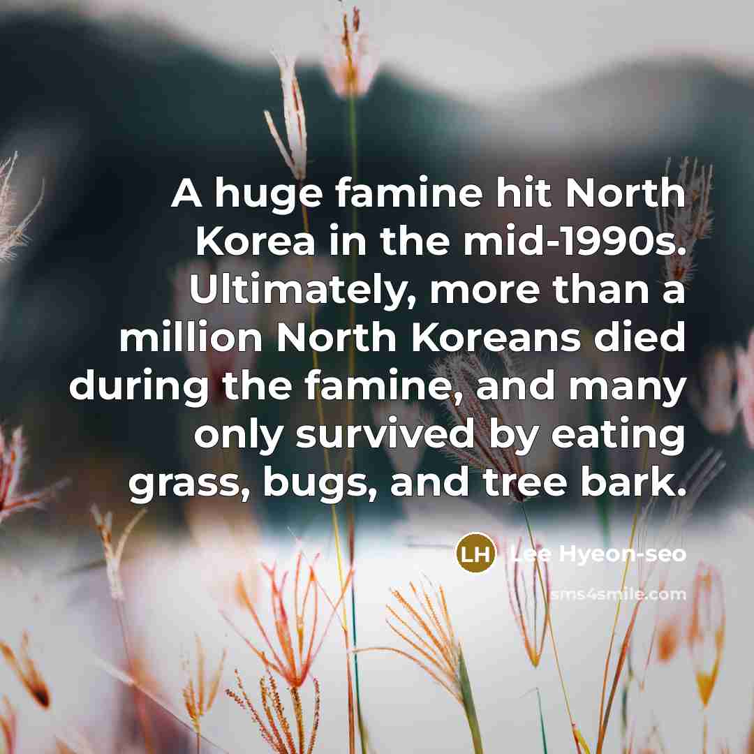 “A huge famine hit North Korea in the mid-1990s. Ultimately,…” quote by Lee Hyeon-seo