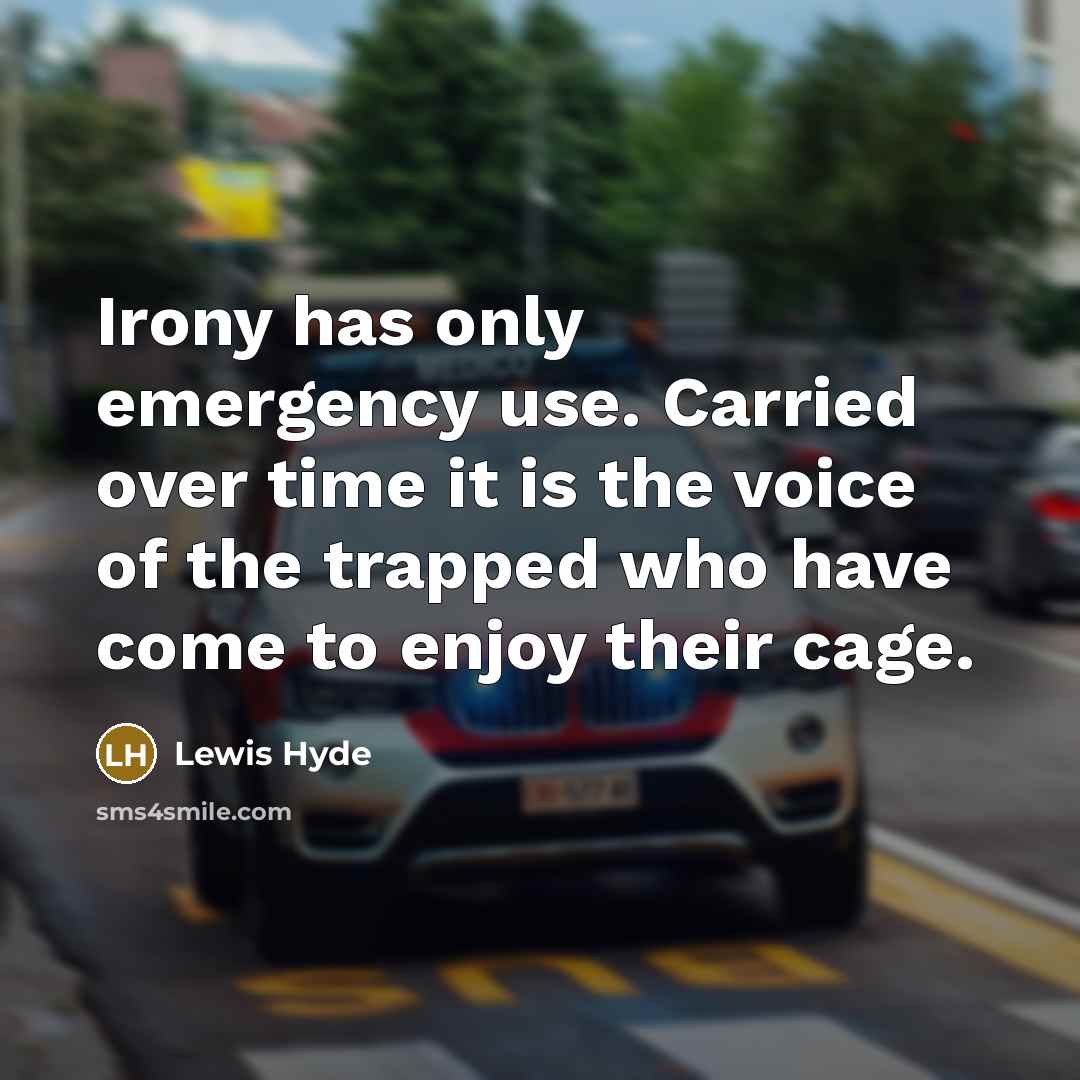 “Irony has only emergency use. Carried over time it is…” quote by Lewis Hyde