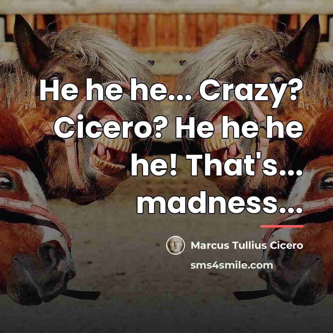 “He he he... Crazy? Cicero? He he he he! That's...…” quote by Marcus Tullius Cicero