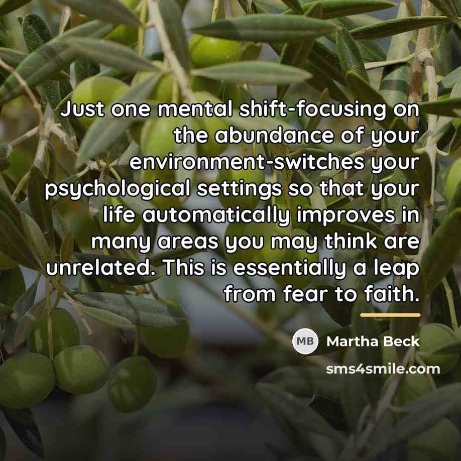 “Just one mental shift-focusing on the abundance of your environment-switches…” quote by Martha Beck