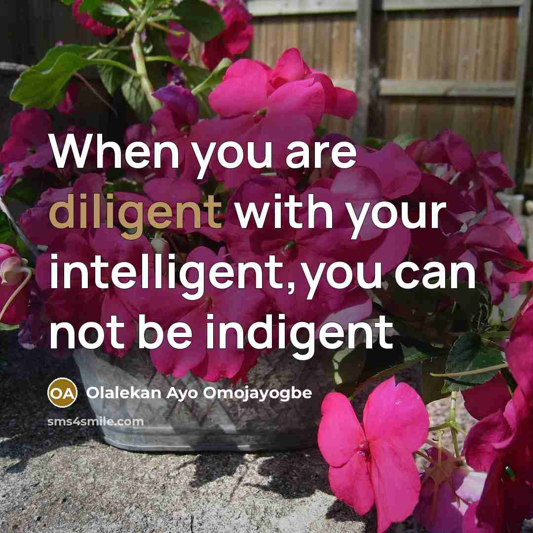 “When you are diligent with your intelligent,you can not be indigent” quote by Olalekan Ayo Omojayogbe