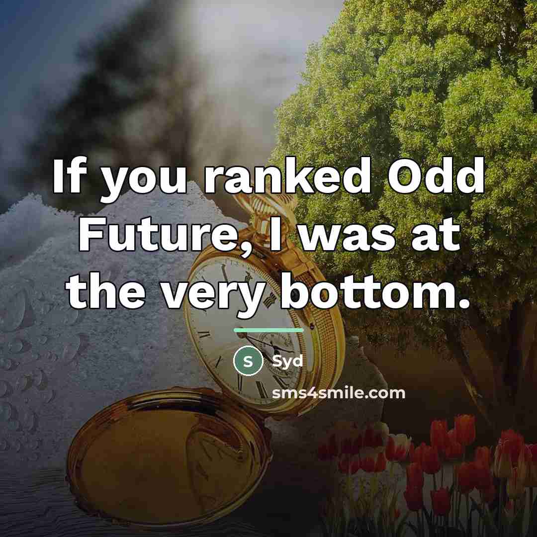“If you ranked Odd Future, I was at the very…” quote by Syd