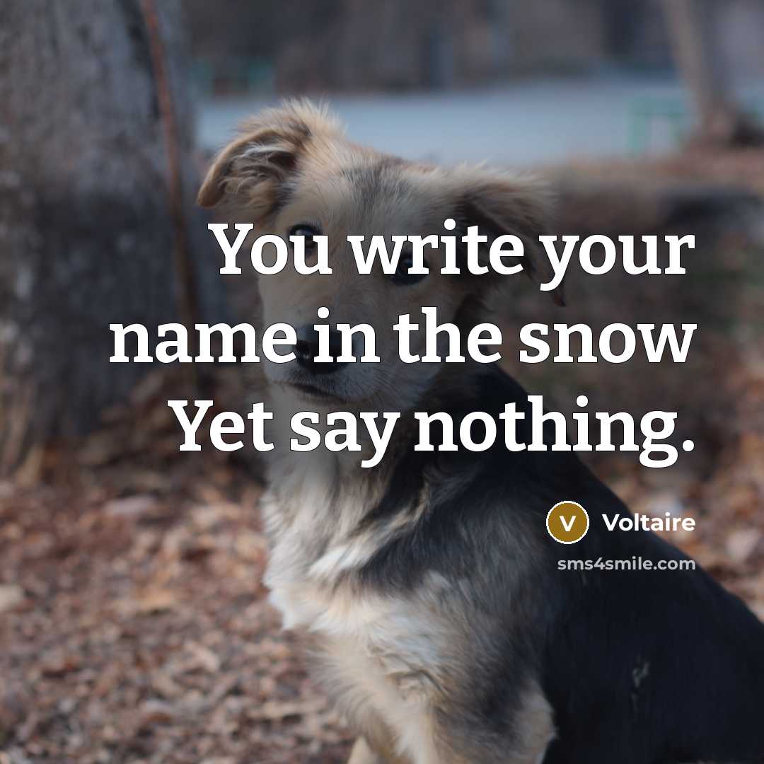 “You write your name in the snow Yet say nothing.…” quote by Voltaire