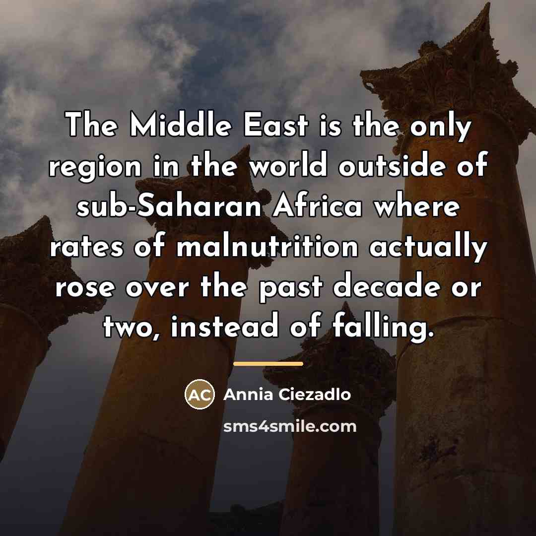 “The Middle East is the only region in the world…” quote by Annia Ciezadlo