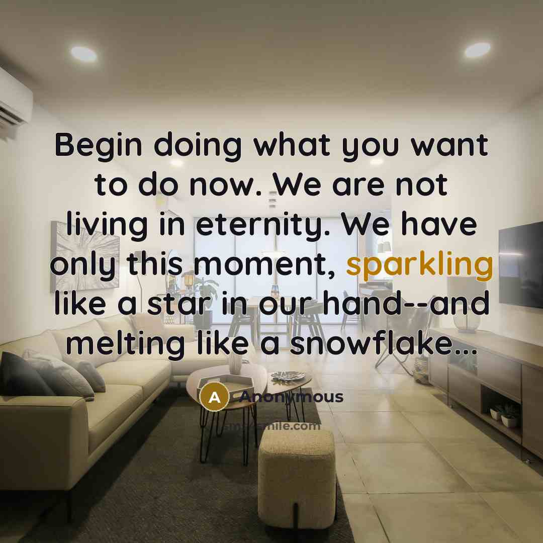 “Begin doing what you want to do now. We are not living in eternity. We have only this moment, sparkling like a star in our hand--and melting like a snowflake...” quote by Anonymous