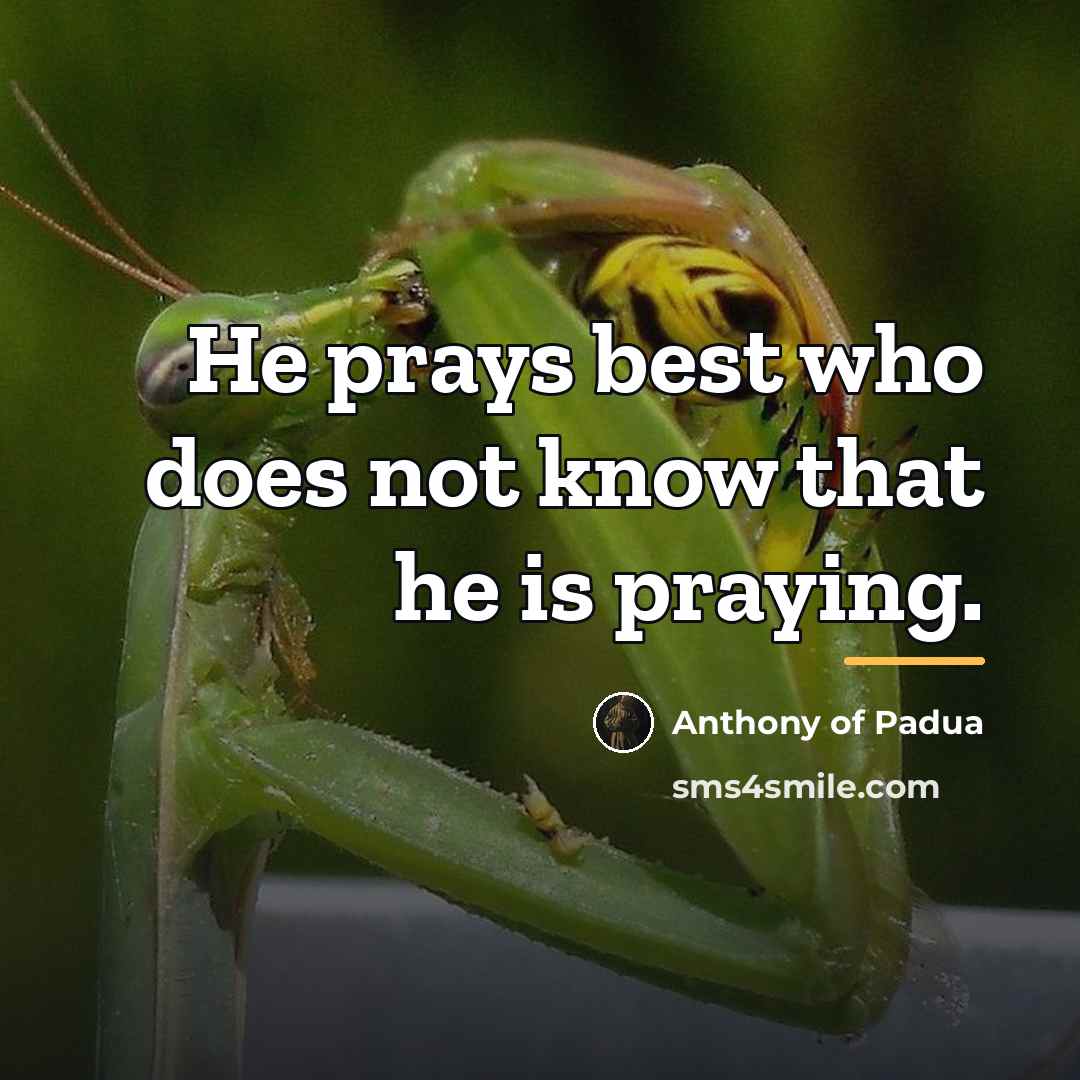 “He prays best who does not know that he is…” quote by Anthony of Padua