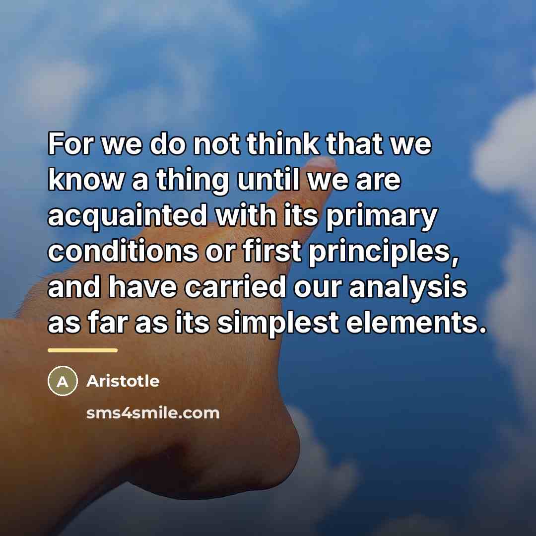 “For we do not think that we know a thing…” quote by Aristotle