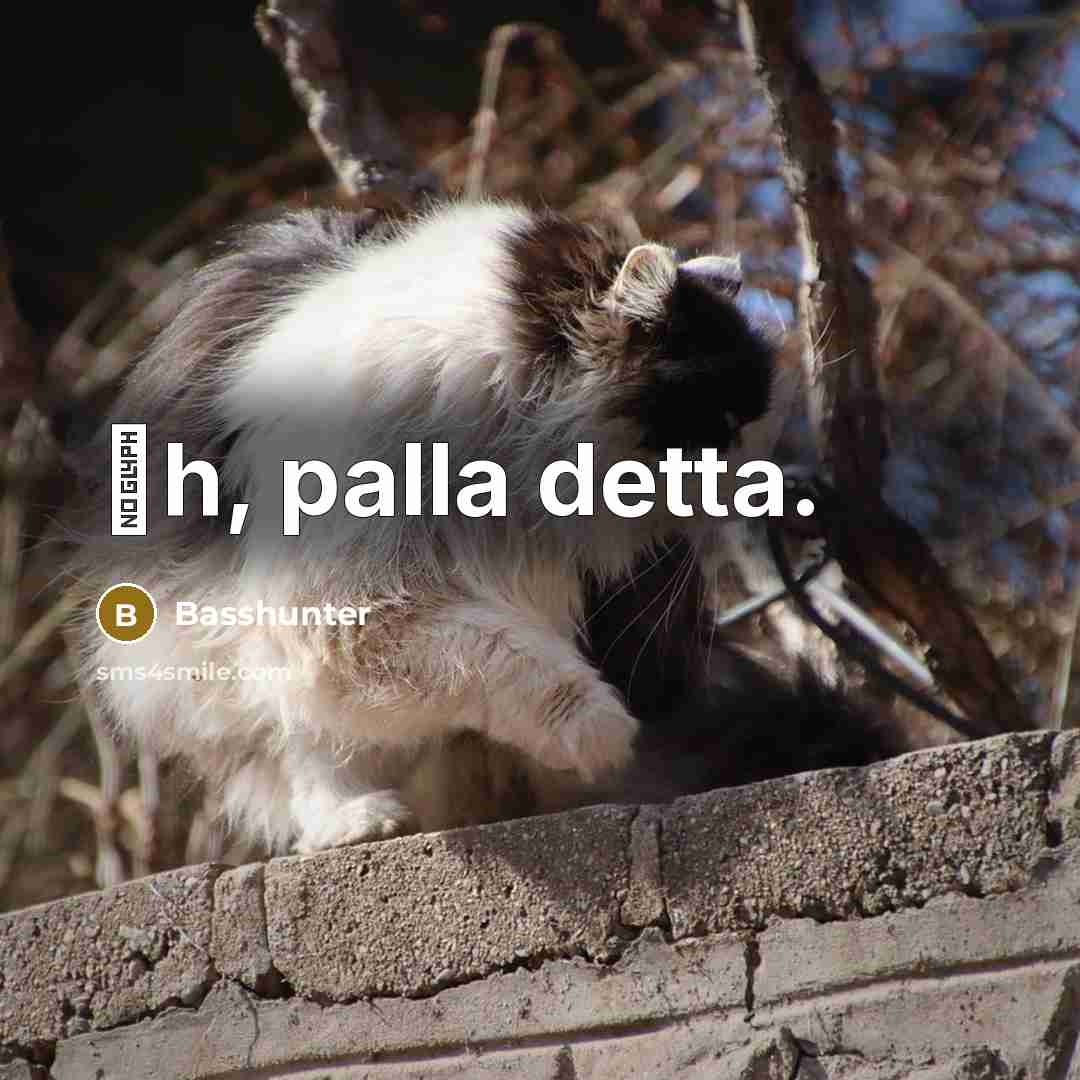“�h, palla detta.” quote by Basshunter