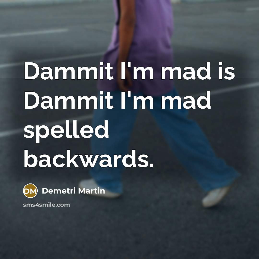 “Dammit I'm mad is Dammit I'm mad spelled backwards.…” quote by Demetri Martin