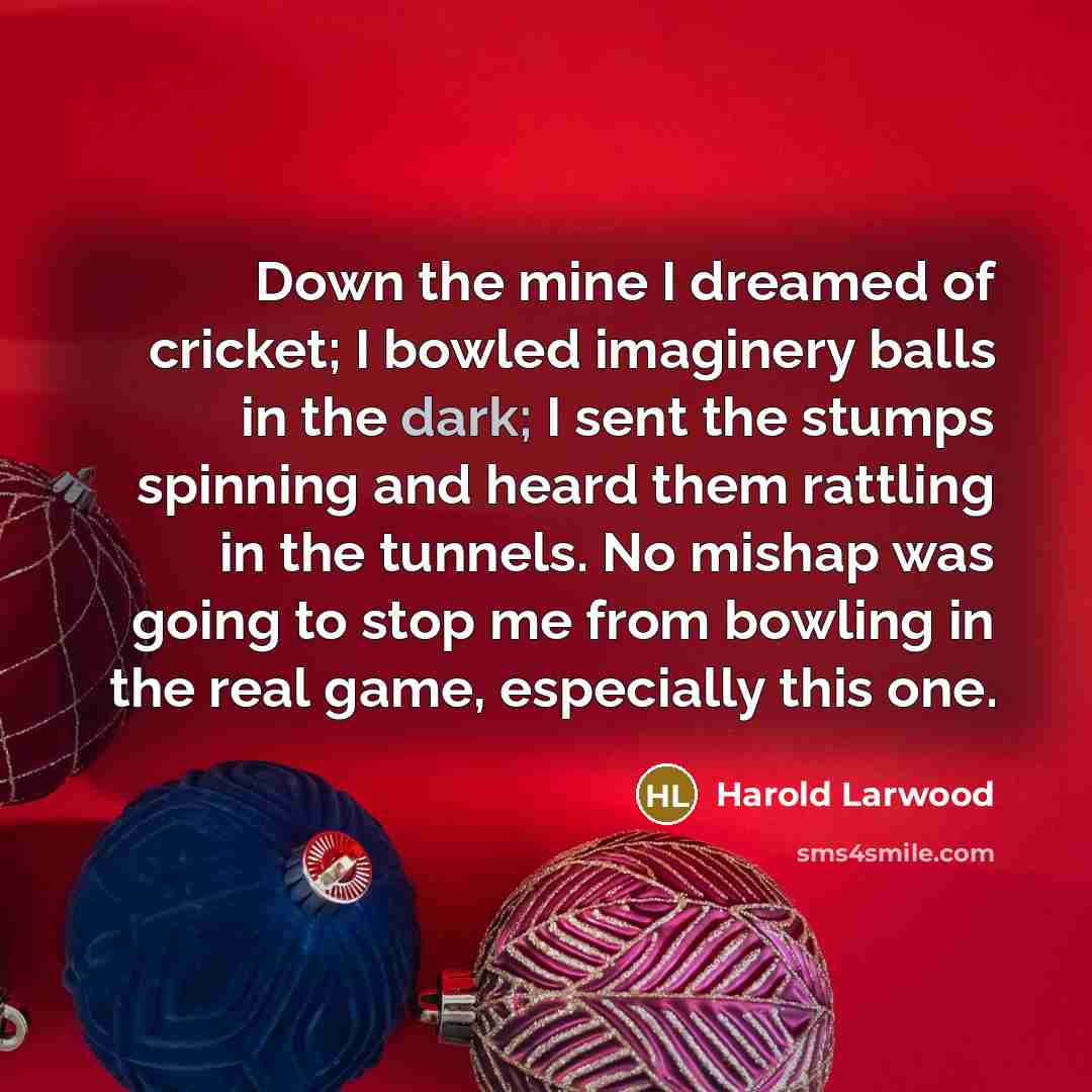 “Down the mine I dreamed of cricket; I bowled imaginery…” quote by Harold Larwood