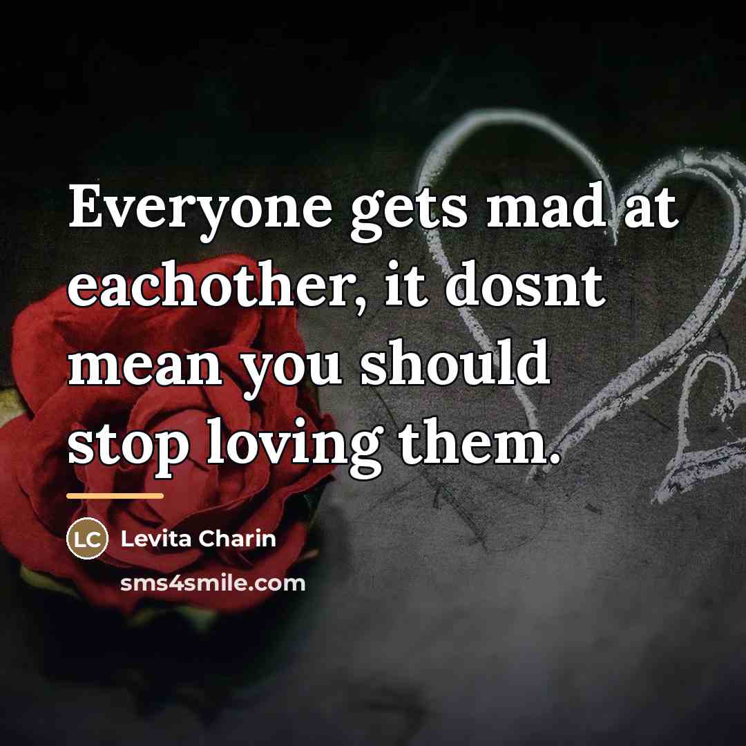 “Everyone gets mad at eachother, it dosnt mean you should…” quote by Levita Charin