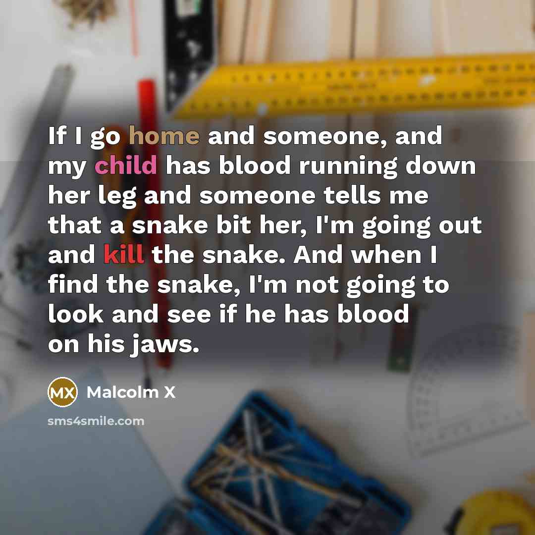 “If I go home and someone, and my child has…” quote by Malcolm X
