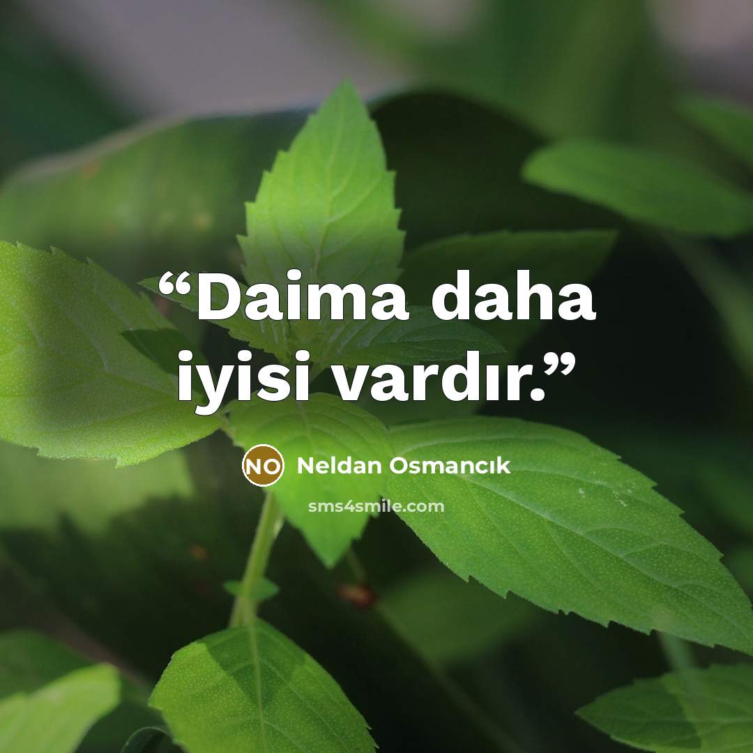 “Daima daha iyisi vardır.” quote by Neldan Osmancık