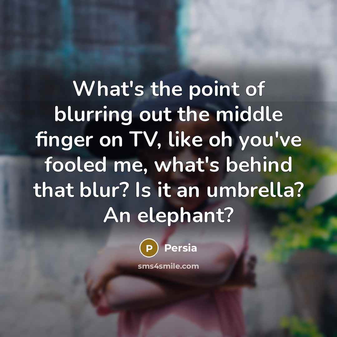 “What's the point of blurring out the middle finger on…” quote by Persia