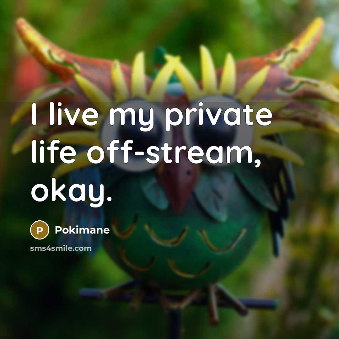 “I live my private life off-stream, okay.…” quote by Pokimane