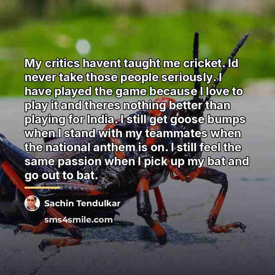 “My critics havent taught me cricket. Id never take those…” quote by Sachin Tendulkar