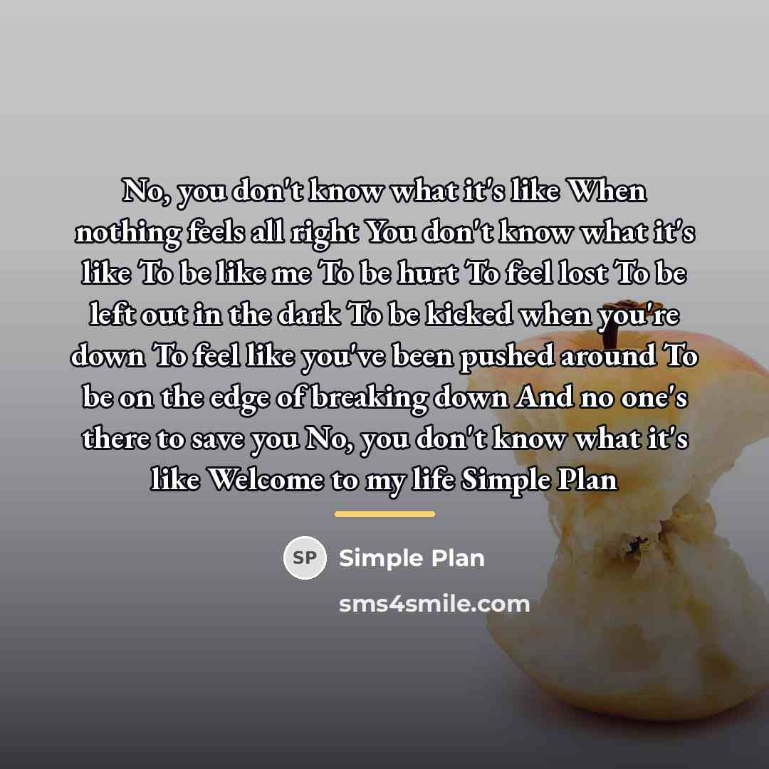 “No, you don't know what it's like When nothing feels…” quote by Simple Plan