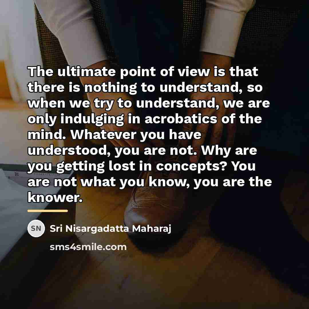 “The ultimate point of view is that there is nothing…” quote by Sri Nisargadatta Maharaj