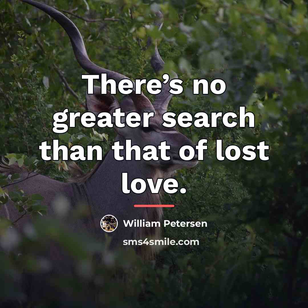 “There’s no greater search than that of lost love.…” quote by William Petersen