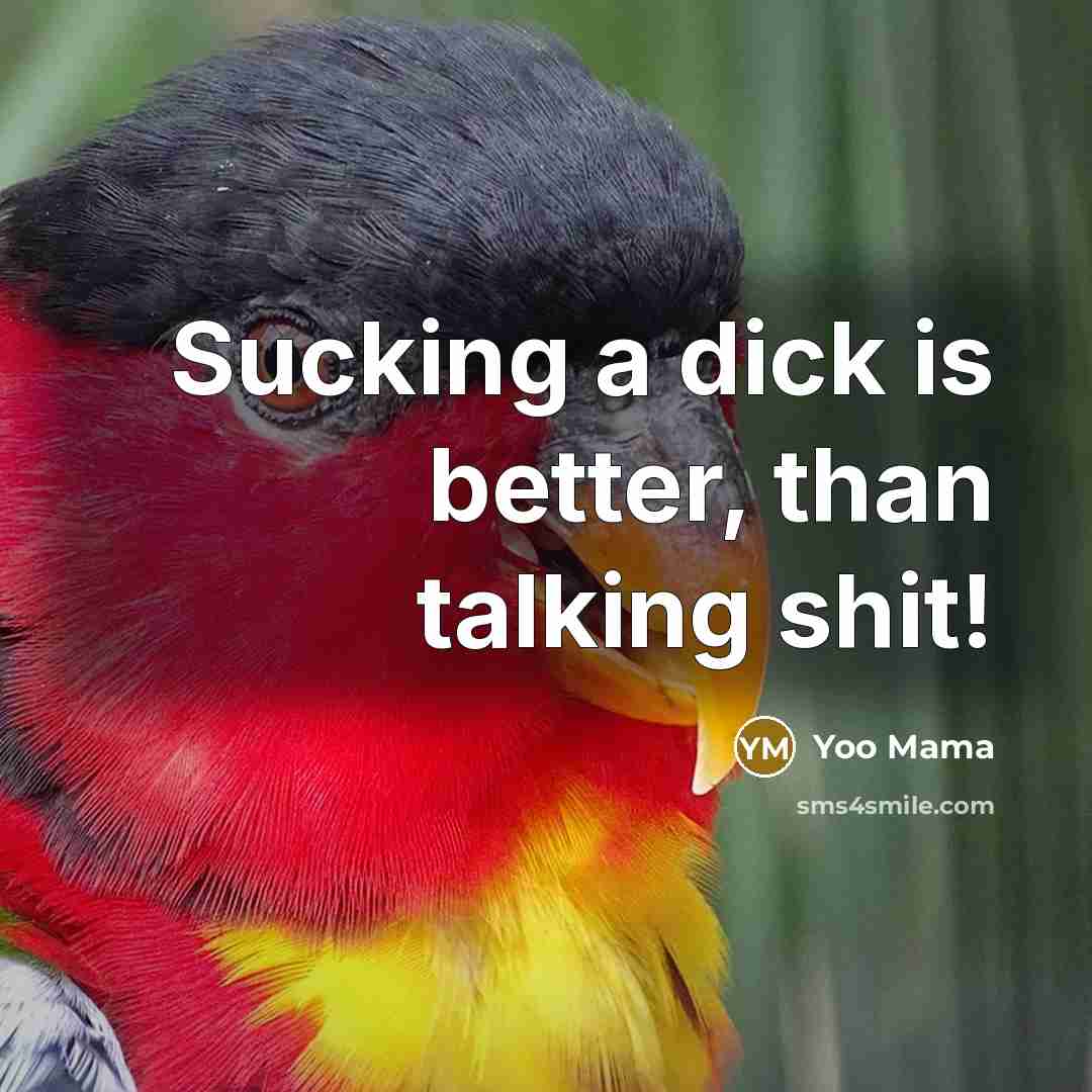 “Sucking a dick is better, than talking shit!” quote by Yoo Mama