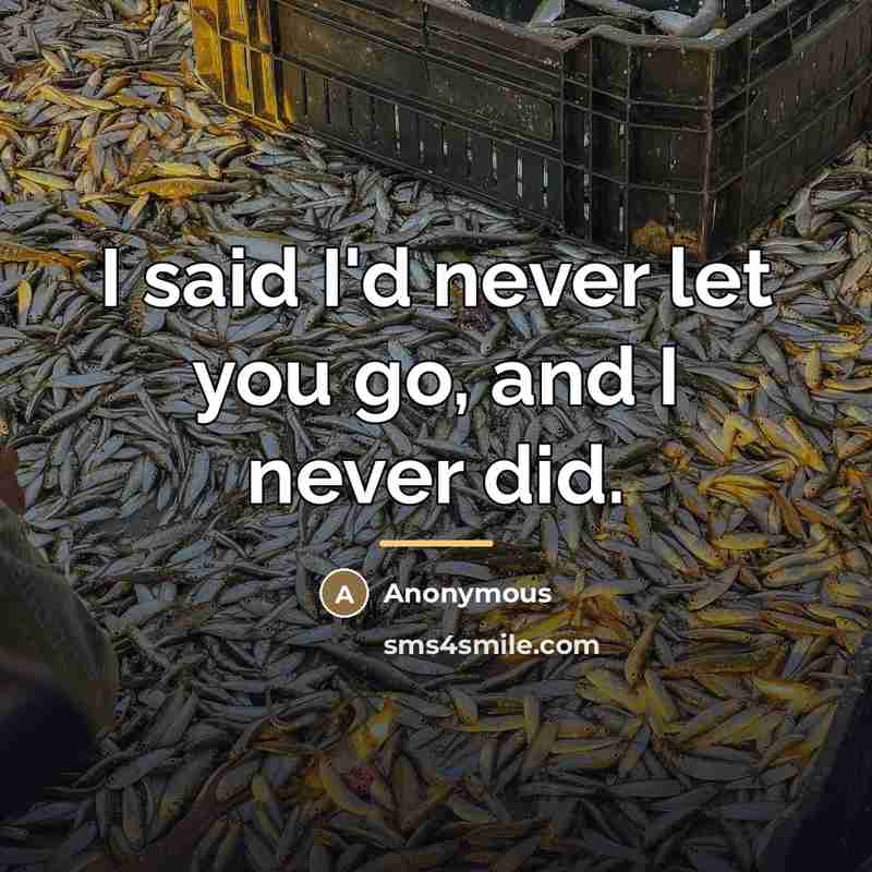 “I said I'd never let you go, and I never…” quote by Anonymous
