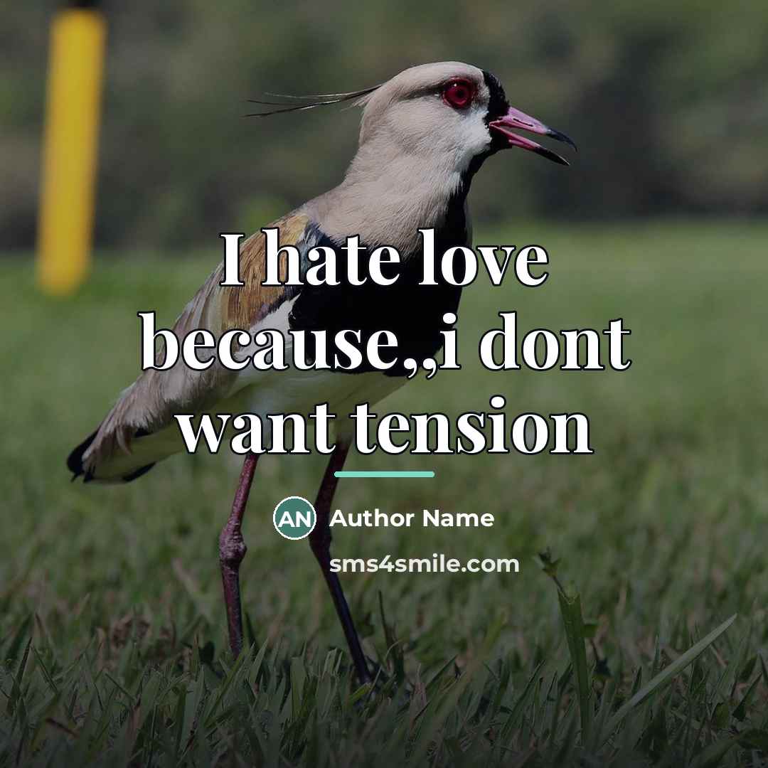 “I hate love because,,i dont want tension…” quote by Author Name