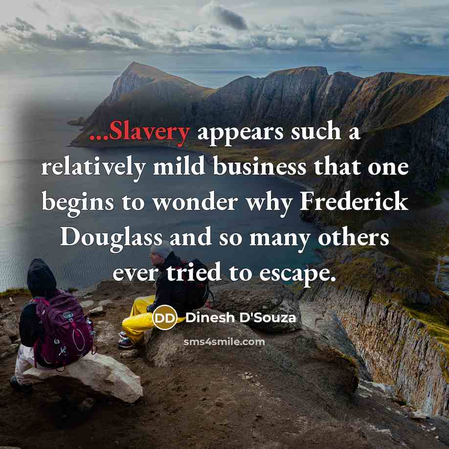 “...Slavery appears such a relatively mild business that one begins…” quote by Dinesh D'Souza