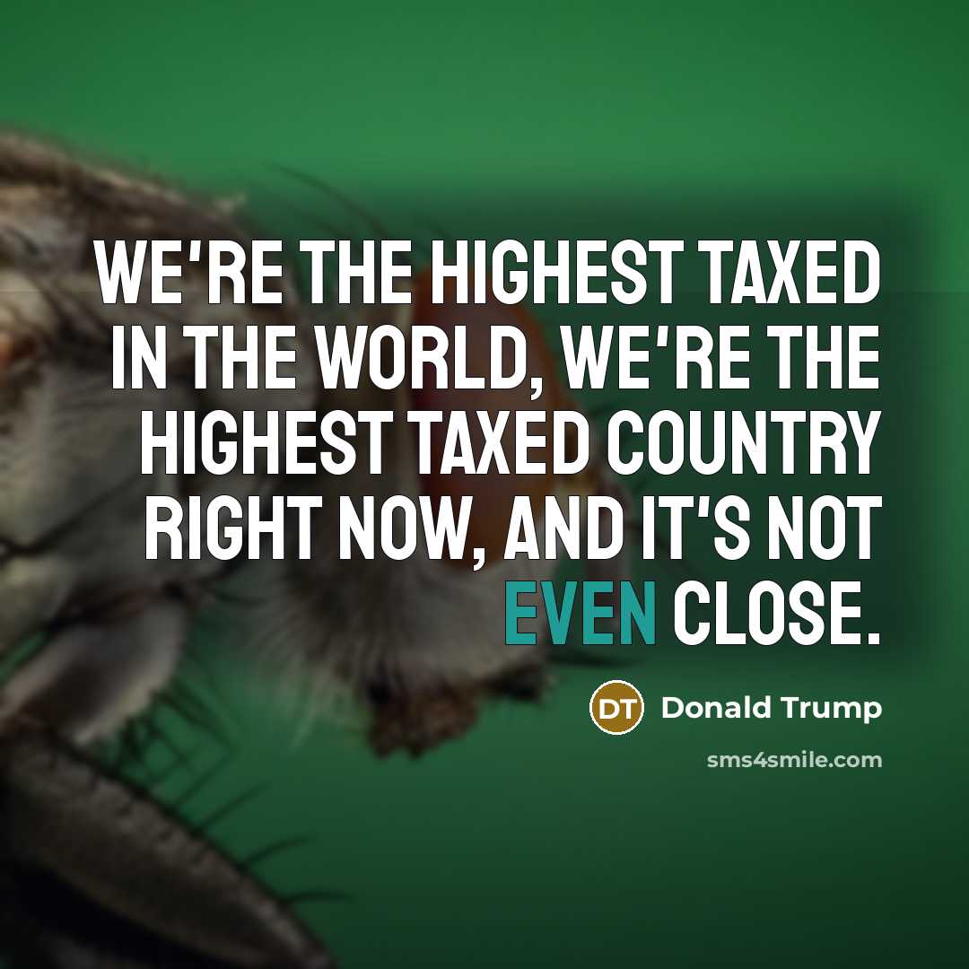 “We're the highest taxed in the world, we're the highest…” quote by Donald Trump