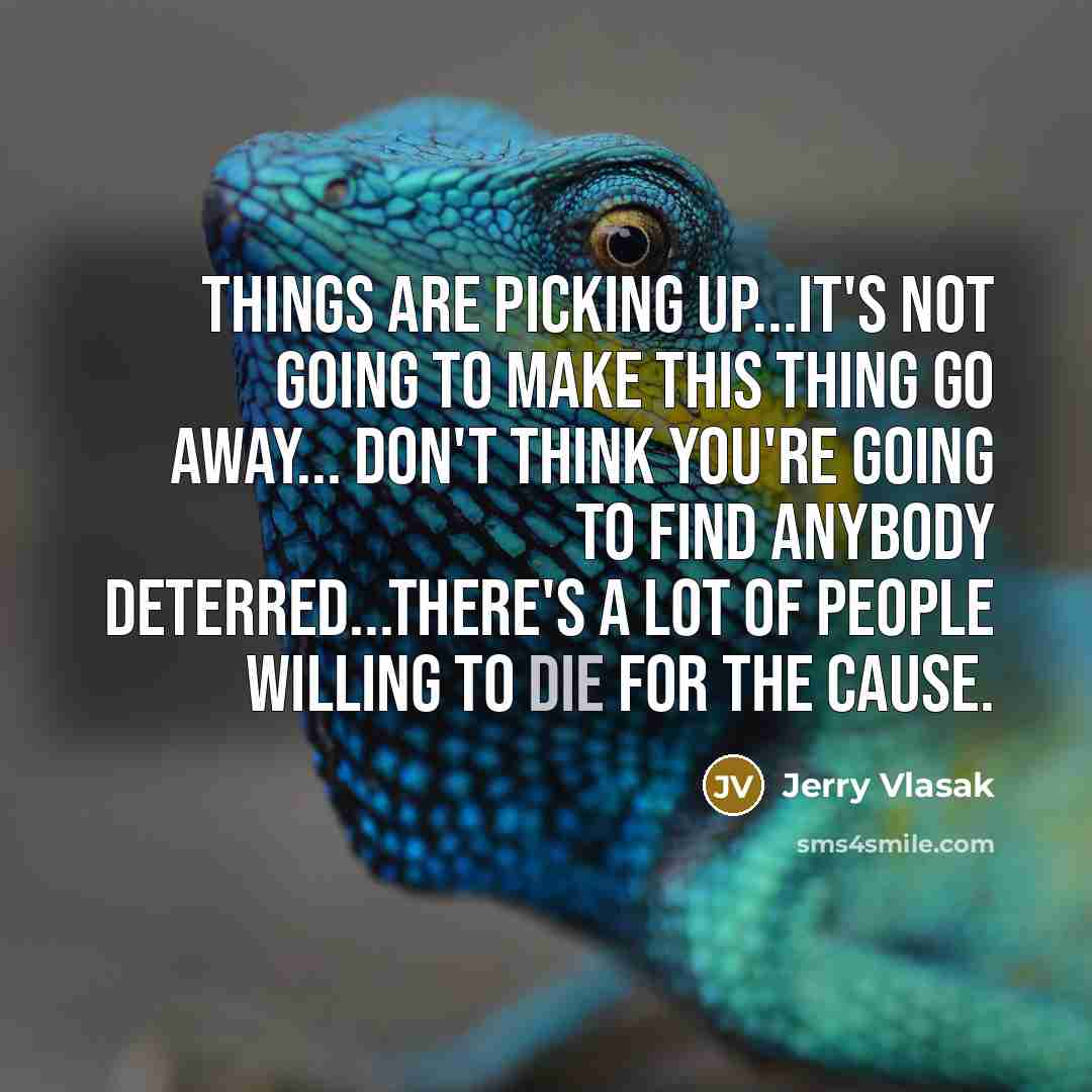 “Things are picking up...It's not going to make this thing…” quote by Jerry Vlasak
