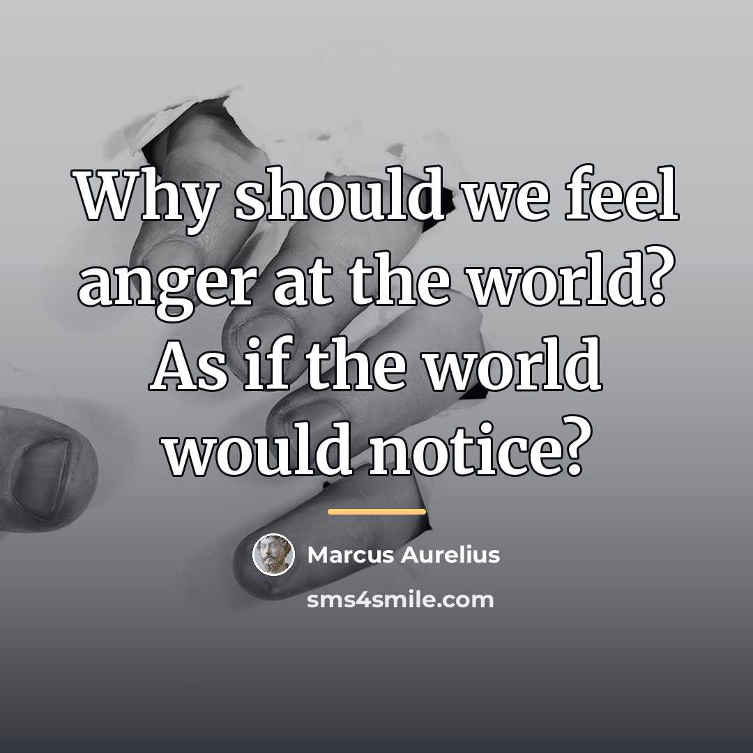 “Why should we feel anger at the world? As if…” quote by Marcus Aurelius