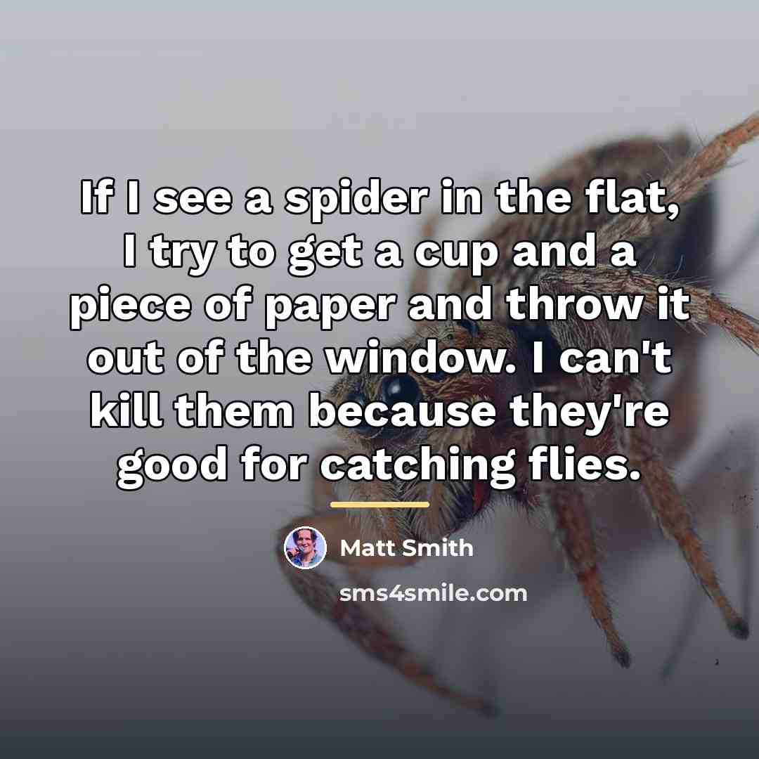 “If I see a spider in the flat, I try…” quote by Matt Smith