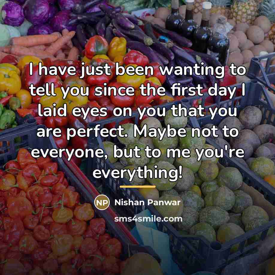 “I have just been wanting to tell you since the…” quote by Nishan Panwar