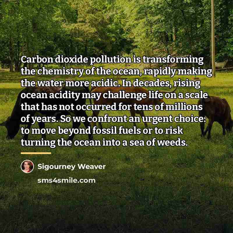 “Carbon dioxide pollution is transforming the chemistry of the ocean,…” quote by Sigourney Weaver