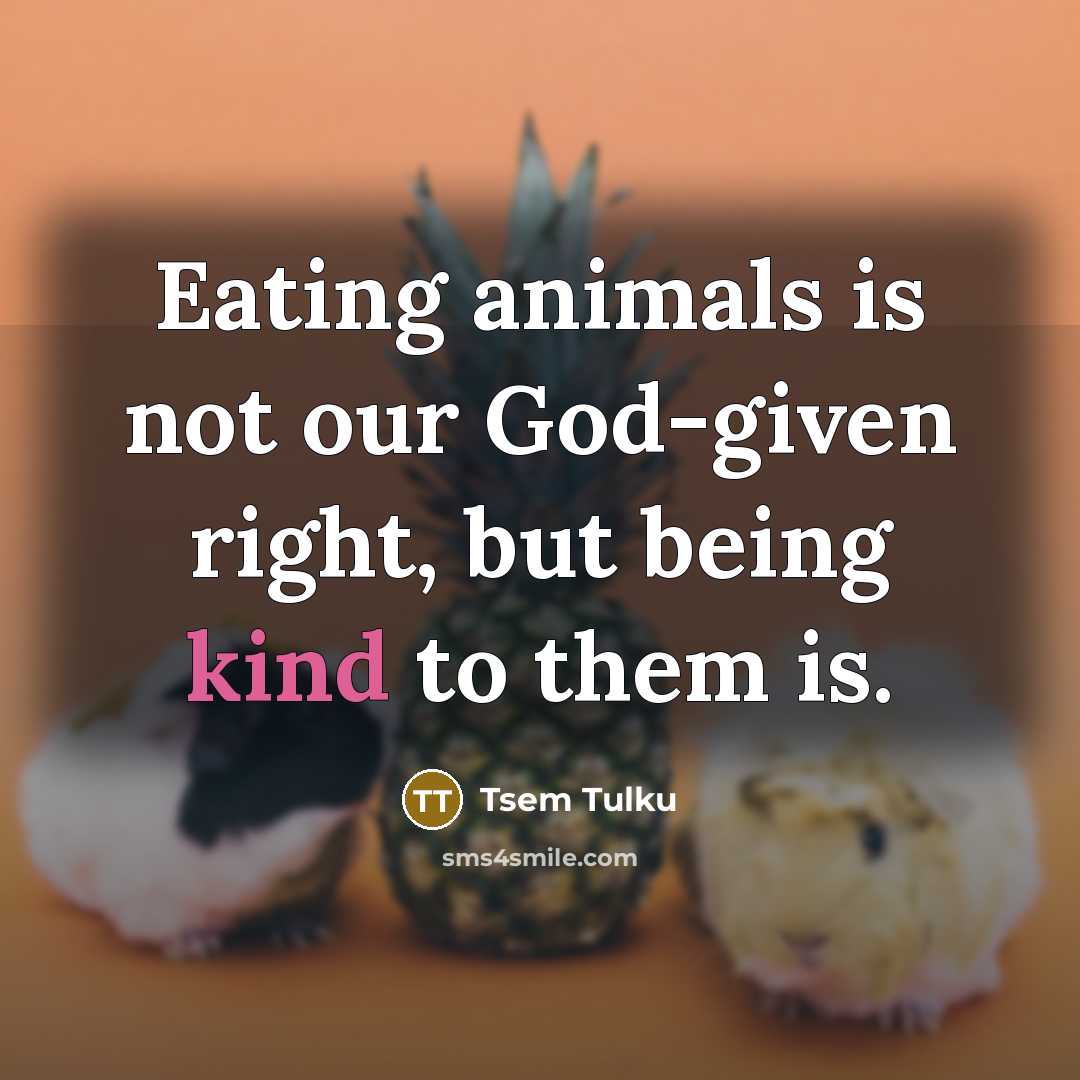“Eating animals is not our God-given right, but being kind…” quote by Tsem Tulku