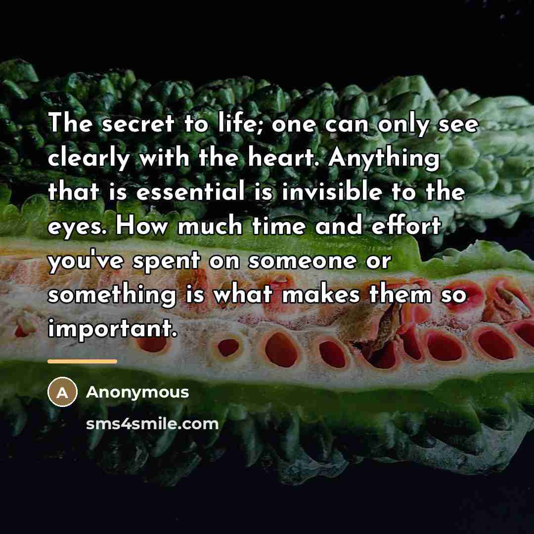 “The secret to life; one can only see clearly with…” quote by Michael Krol