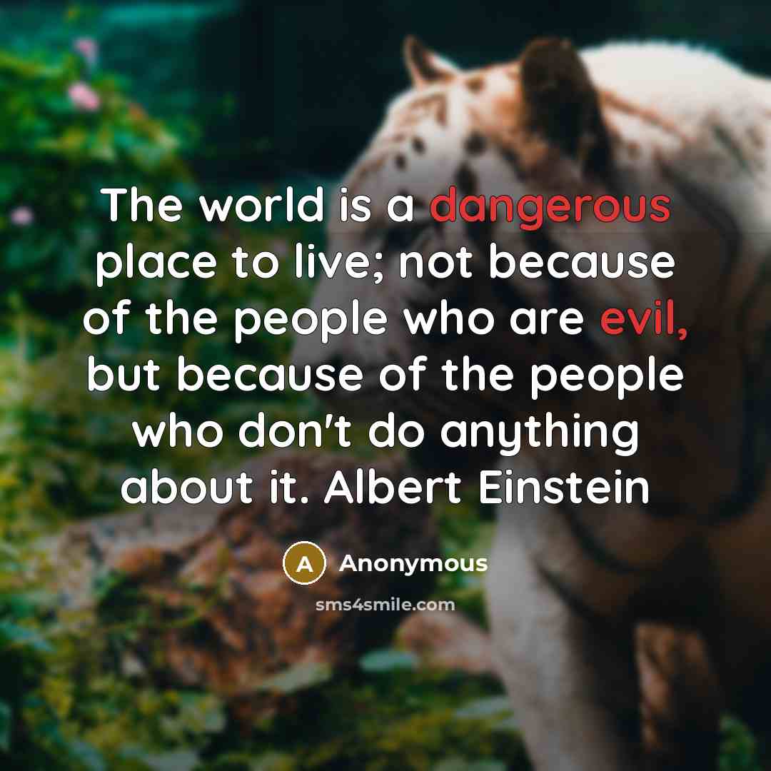 “The world is a dangerous place to live; not because of the people who are evil, but because of the people who don't do anything about it. Albert Einstein” quote by Anonymous