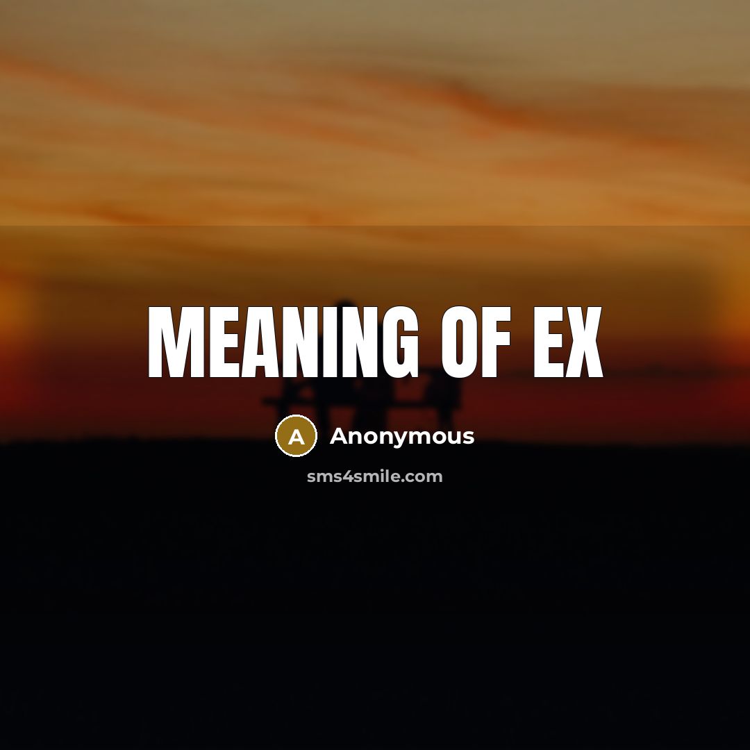 “Meaning of EX” quote by Anonymous