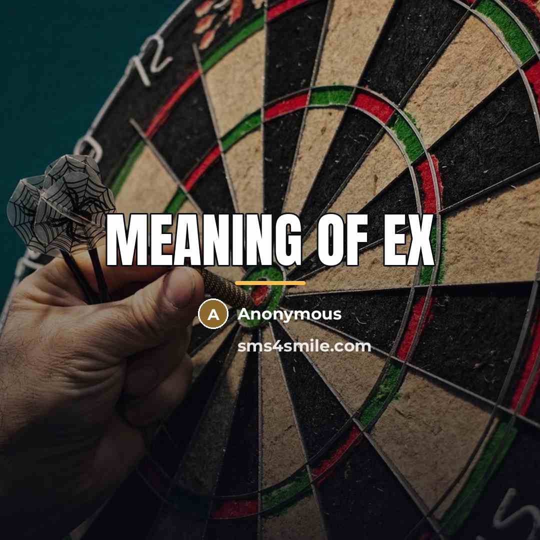 “Meaning of EX…” quote by Anonymous