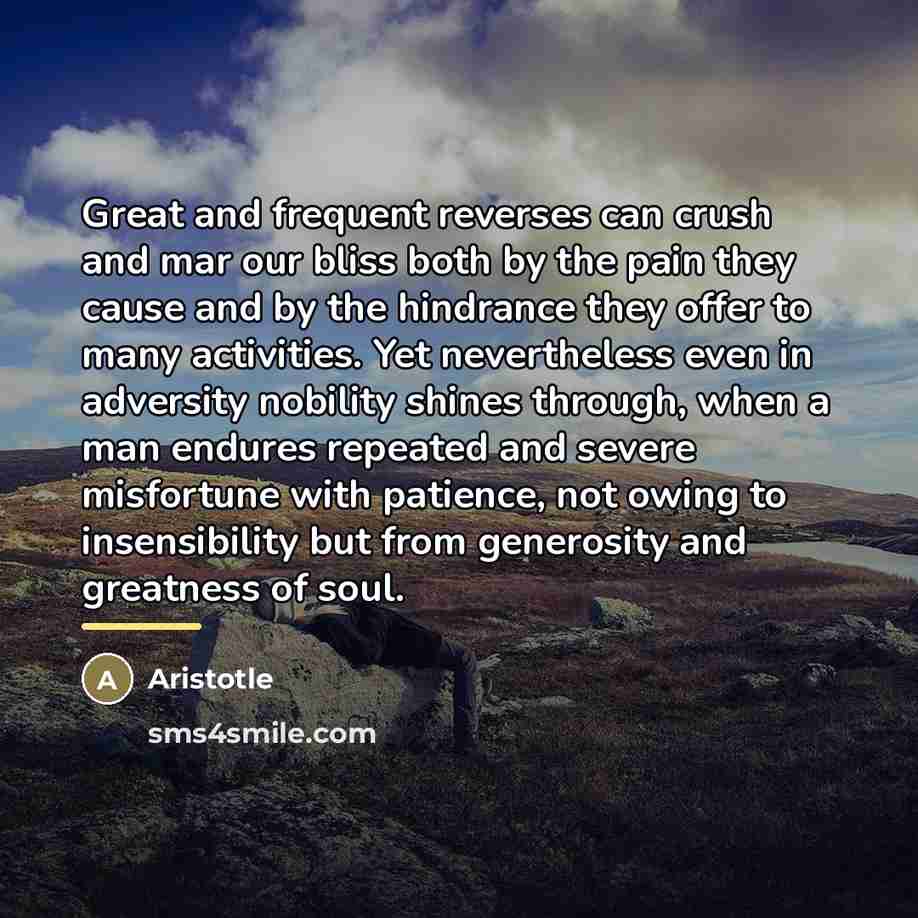 “Great and frequent reverses can crush and mar our bliss…” quote by Aristotle