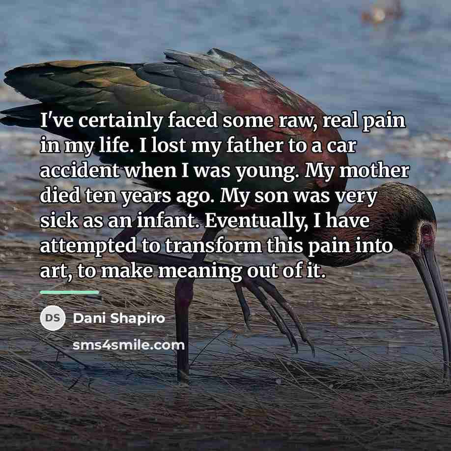 “I've certainly faced some raw, real pain in my life.…” quote by Dani Shapiro