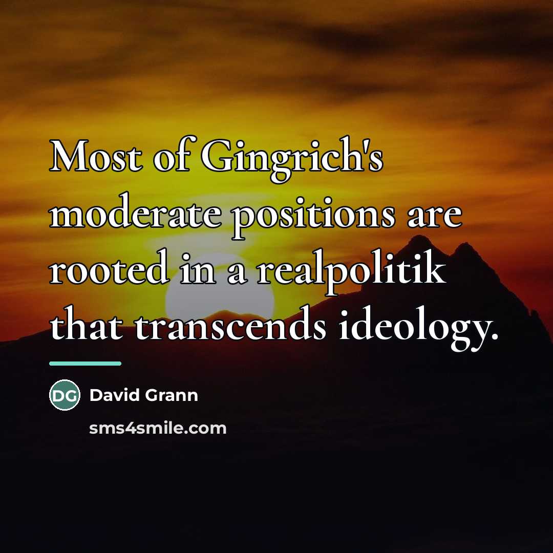 “Most of Gingrich's moderate positions are rooted in a realpolitik…” quote by David Grann