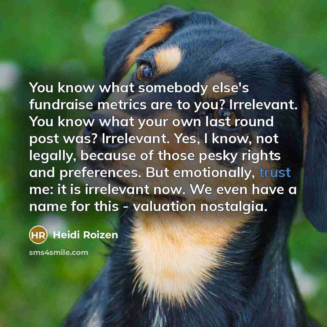 “You know what somebody else's fundraise metrics are to you?…” quote by Heidi Roizen