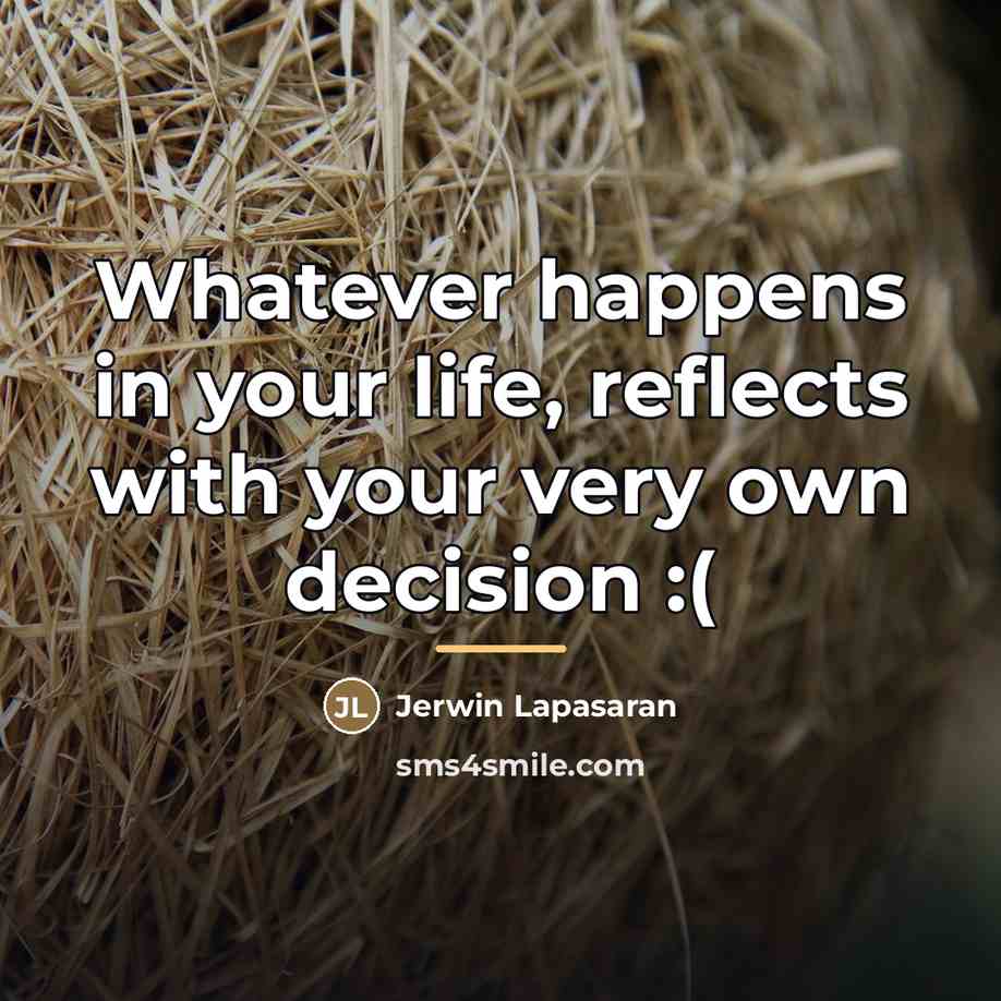 “Whatever happens in your life, reflects with your very own…” quote by Jerwin Lapasaran