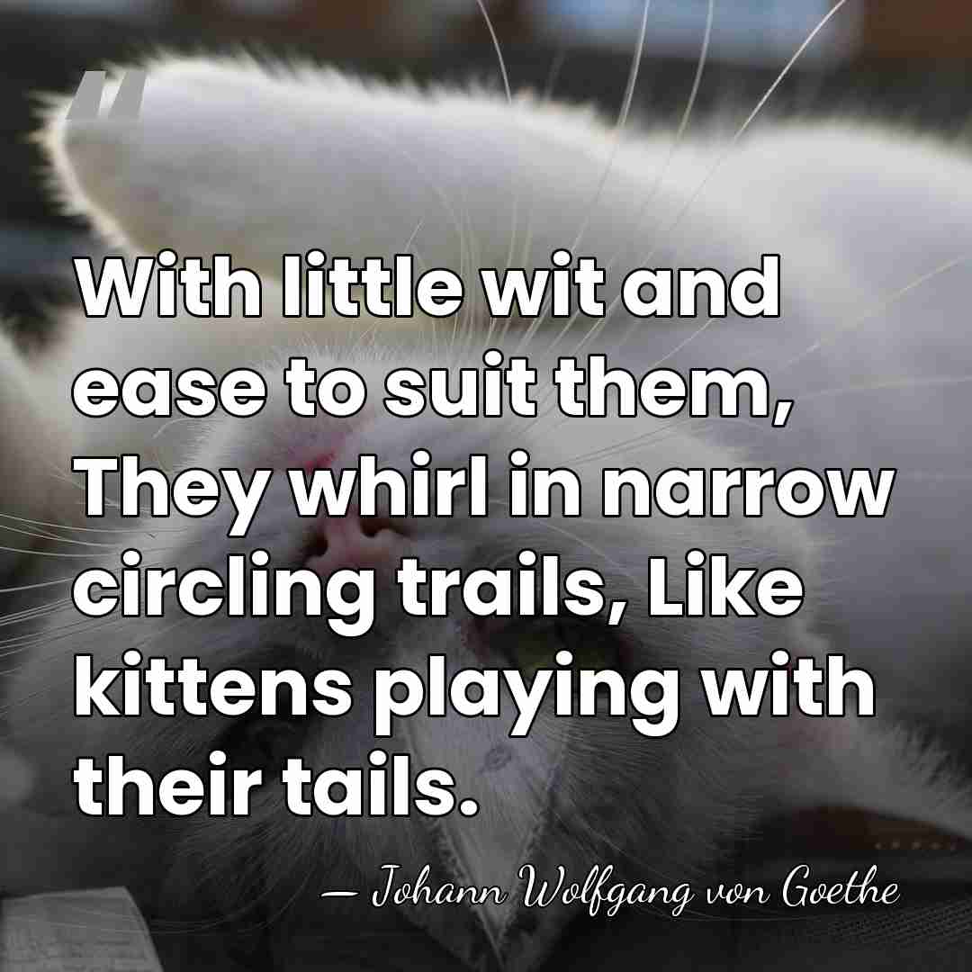 With little wit and ease to suit them, They whirl in narrow&hellip; - Johann Wolfgang von Goethe