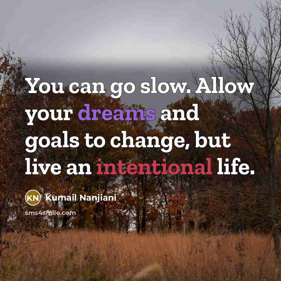 “You can go slow. Allow your dreams and goals to…” quote by Kumail Nanjiani