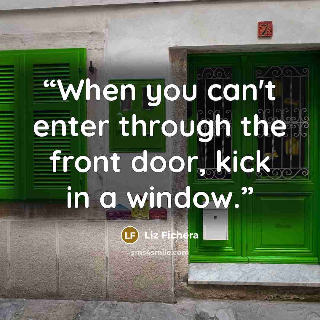 “When you can't enter through the front door, kick in a window.” quote by Liz Fichera