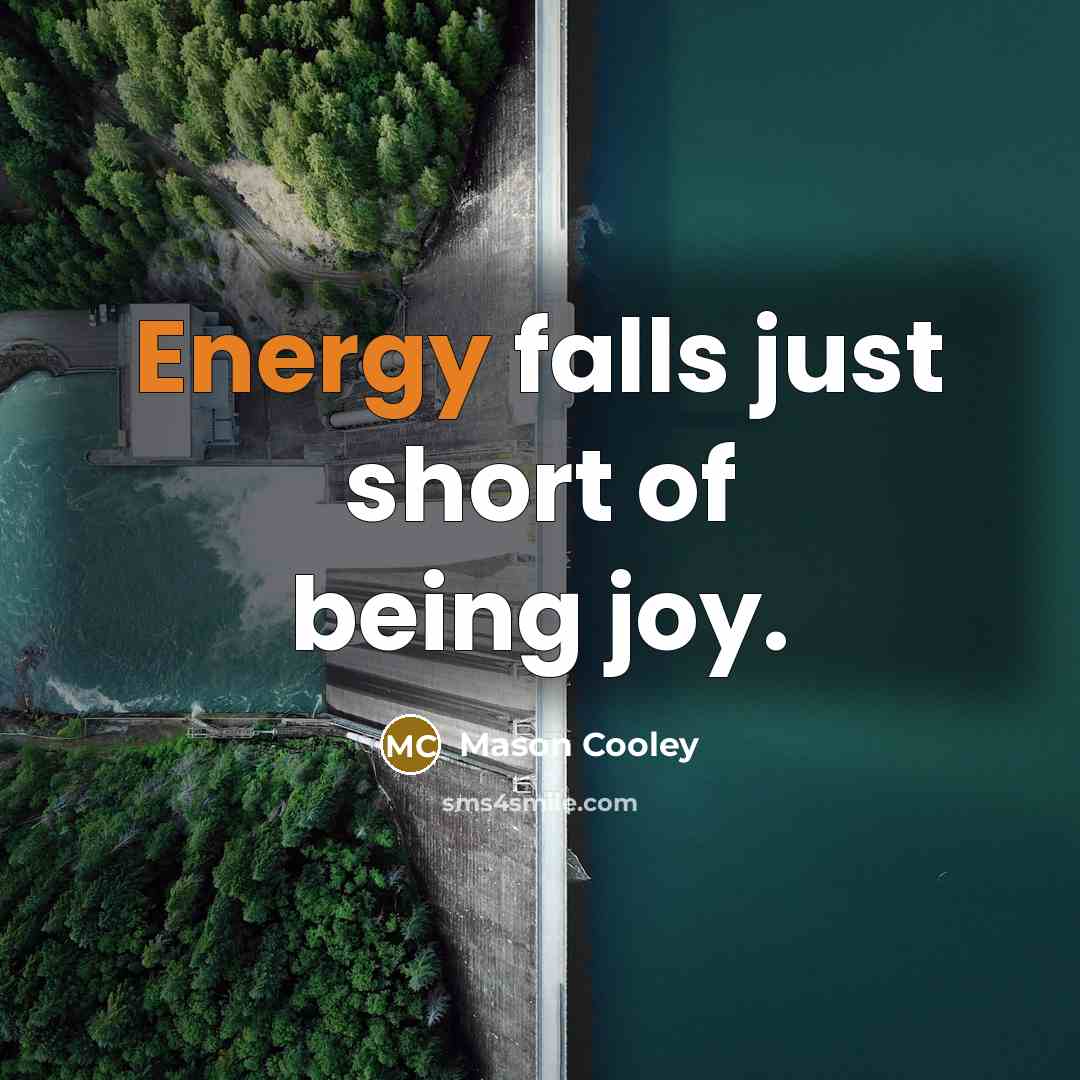 “Energy falls just short of being joy.…” quote by Mason Cooley