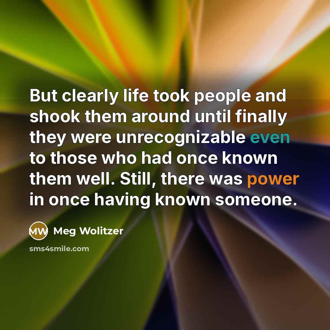 “But clearly life took people and shook them around until…” quote by Meg Wolitzer