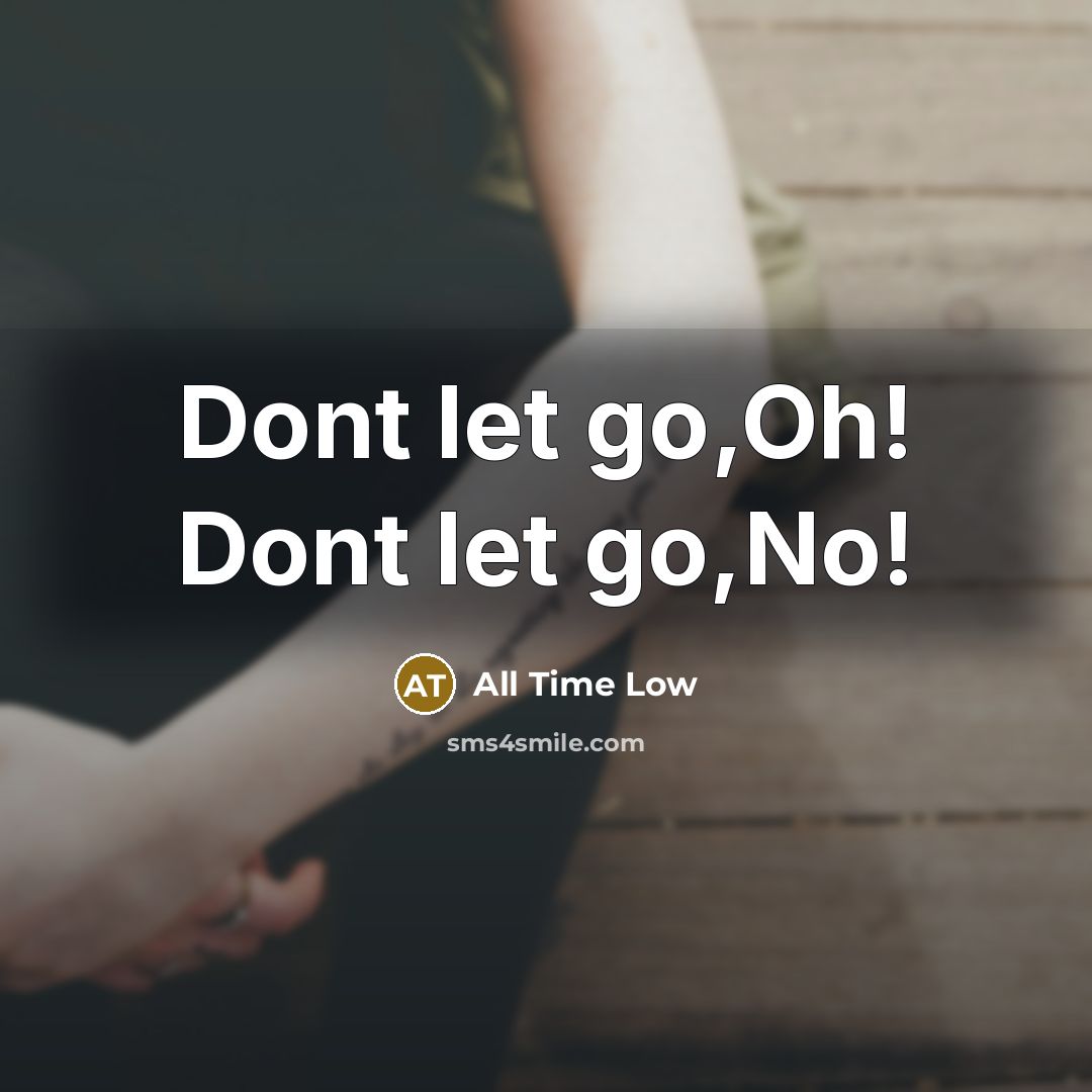 “Dont let go,Oh! Dont let go,No!…” quote by All Time Low