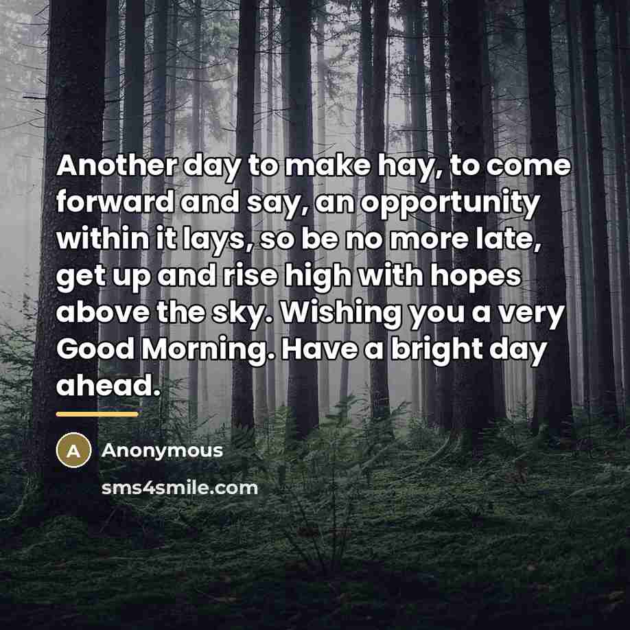 “Another day to make hay, to come forward and say,…” quote by Anonymous